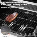 Three-Burner Grill: view 4